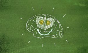 Even with the most mundane of tasks and functions, our brain health greatly affects how well these tasks are performed.