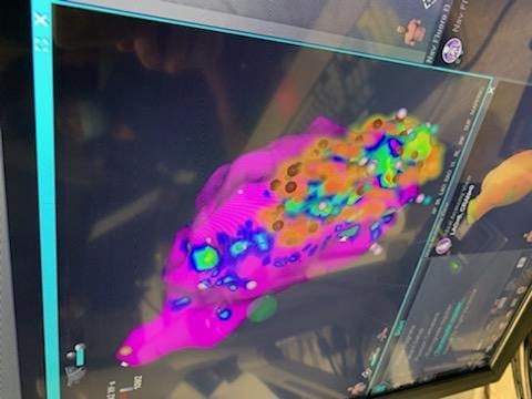 Colorful thermal heat map on computer screen.